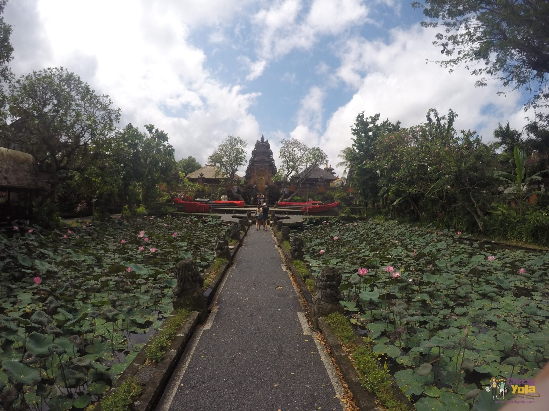 lotus saraswati bali