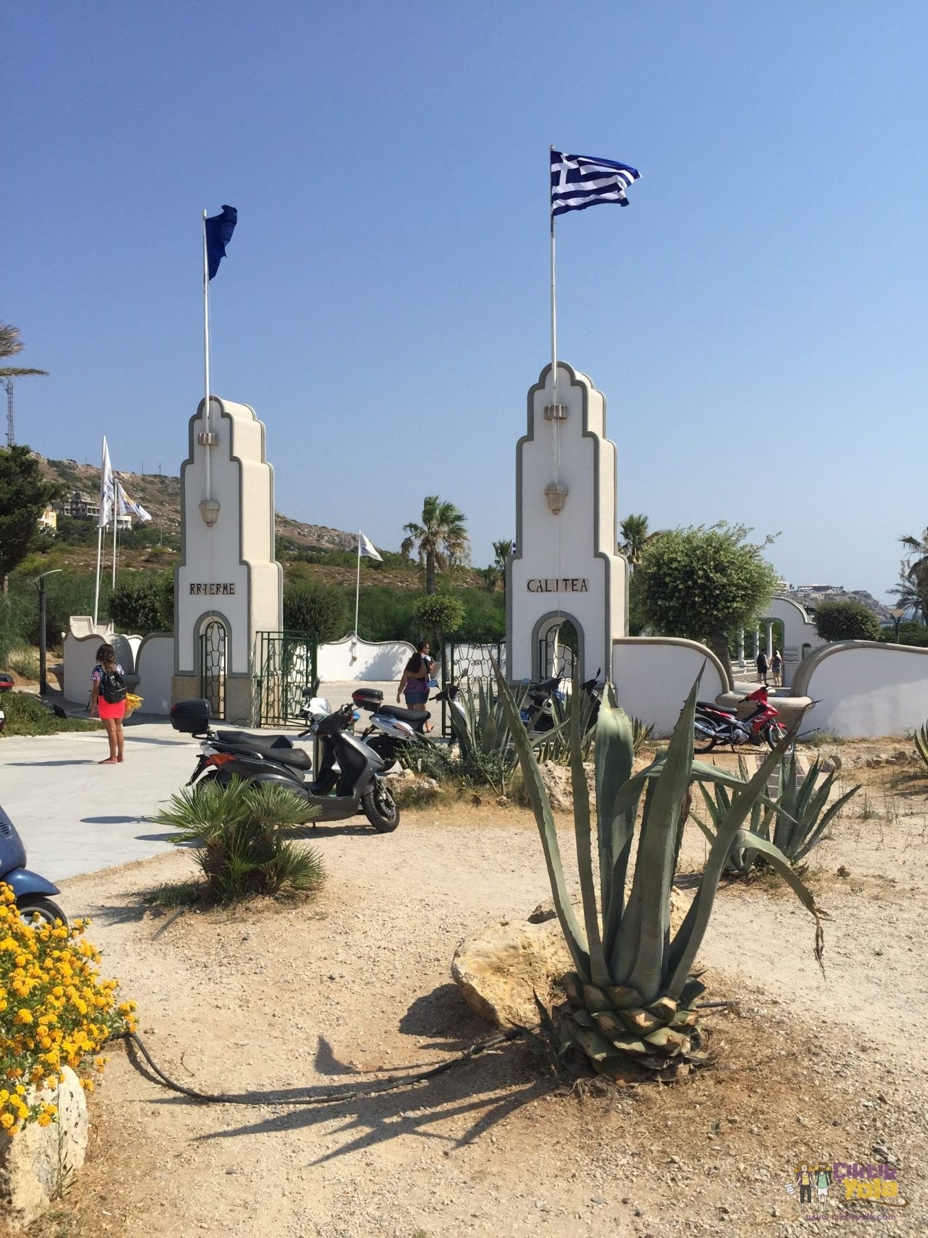 calitea kallithea