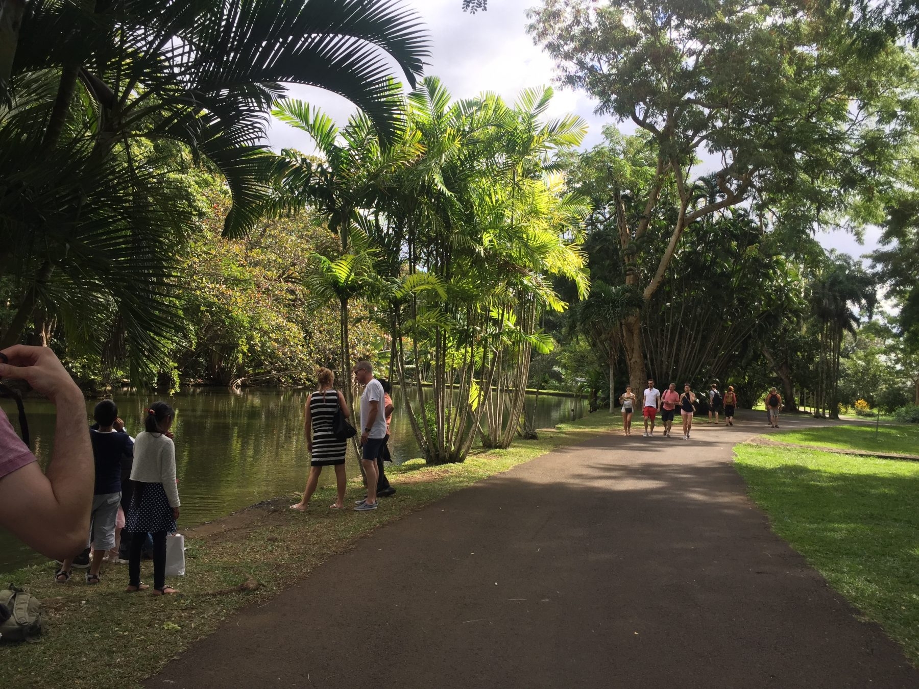 botanik park mauritius