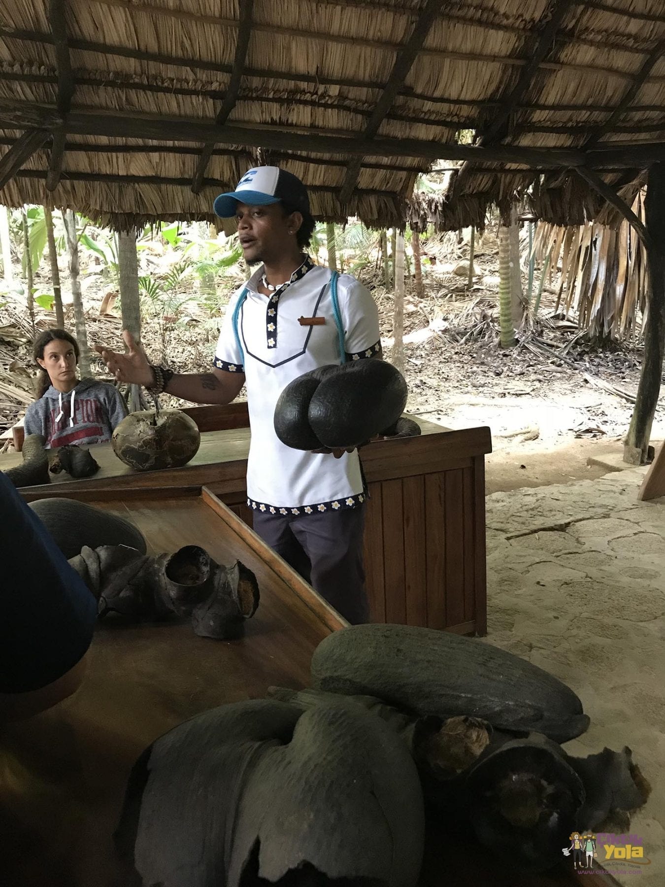 Seyşeller'de coco de mer meyvesini ziyaretçilere gösteren rehber