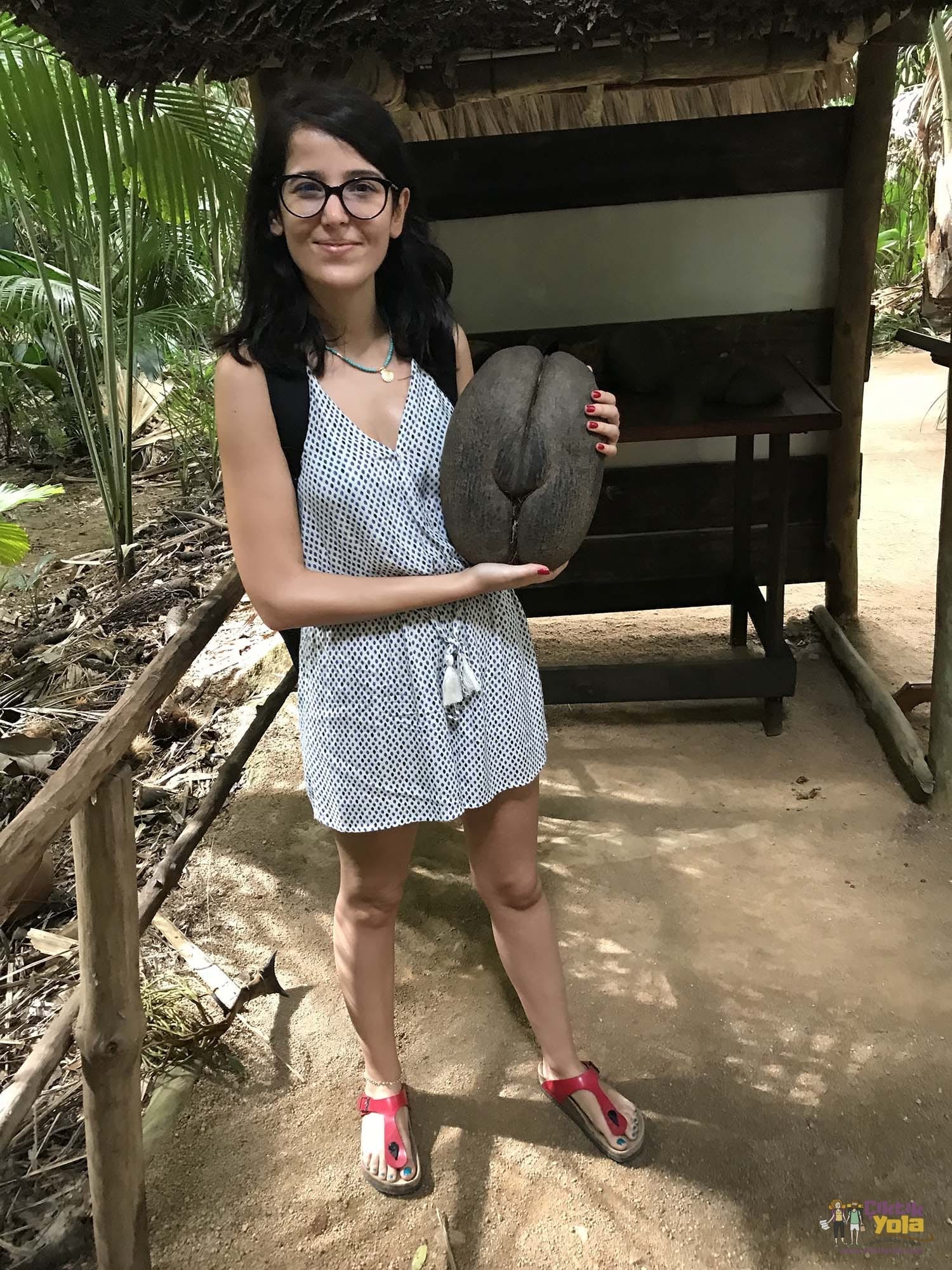 coco de mer praslin