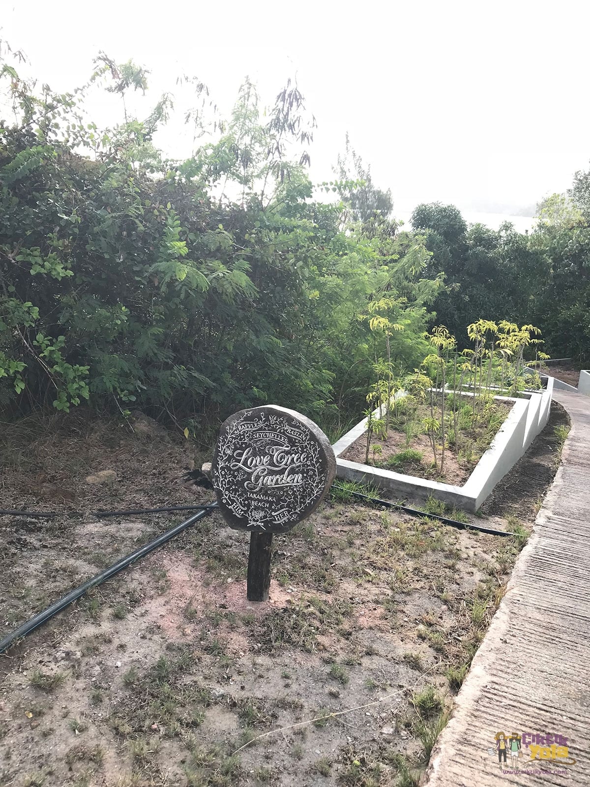praslin seyşeller raffles