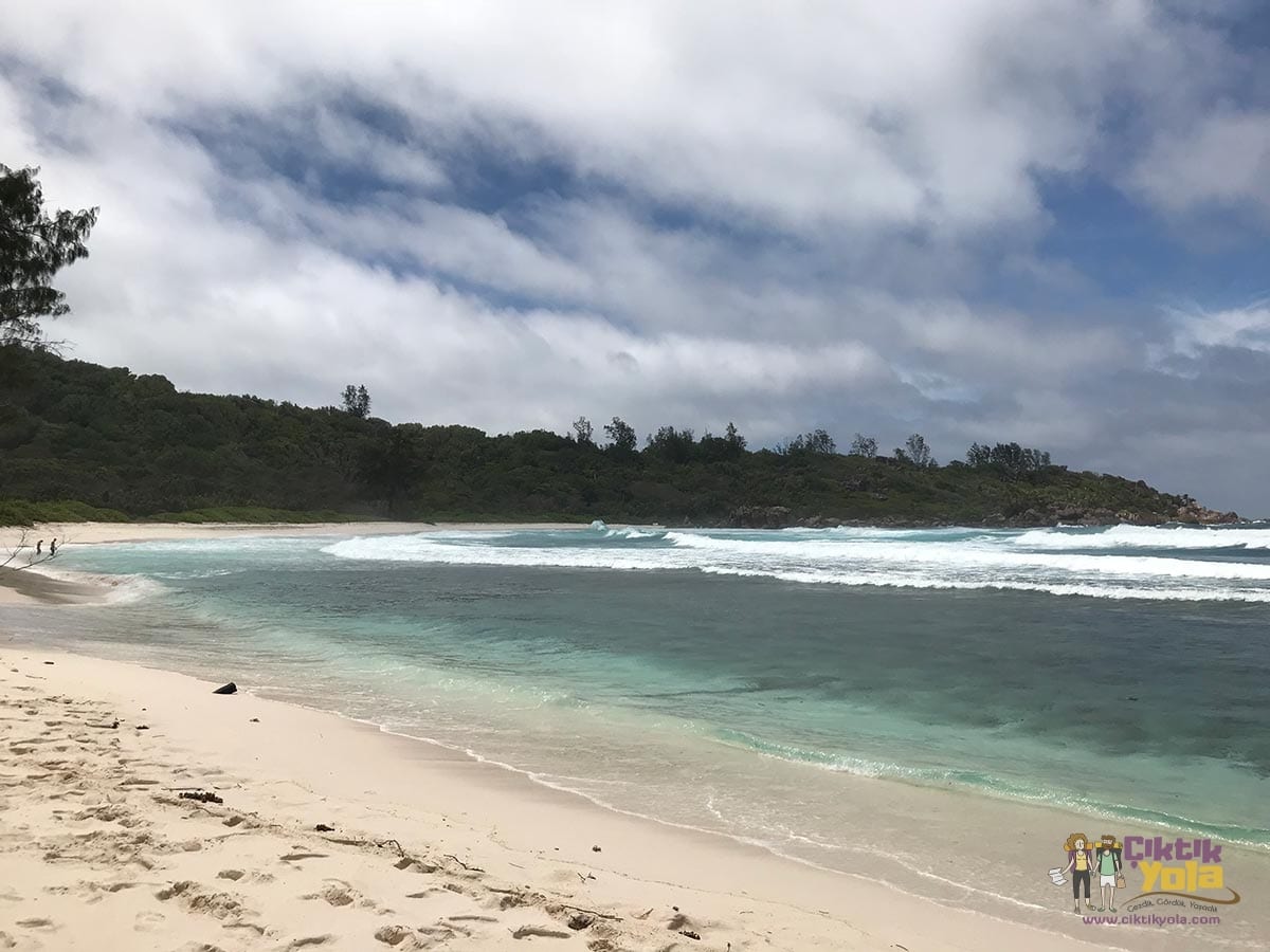 anse coco seyşeller