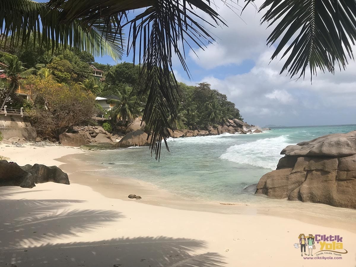 anse patate plaj la digue seyşeller