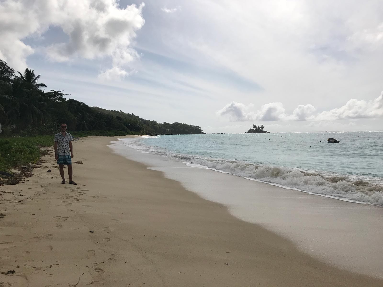 A tree-lined beach in Seychelles with a small island offshore