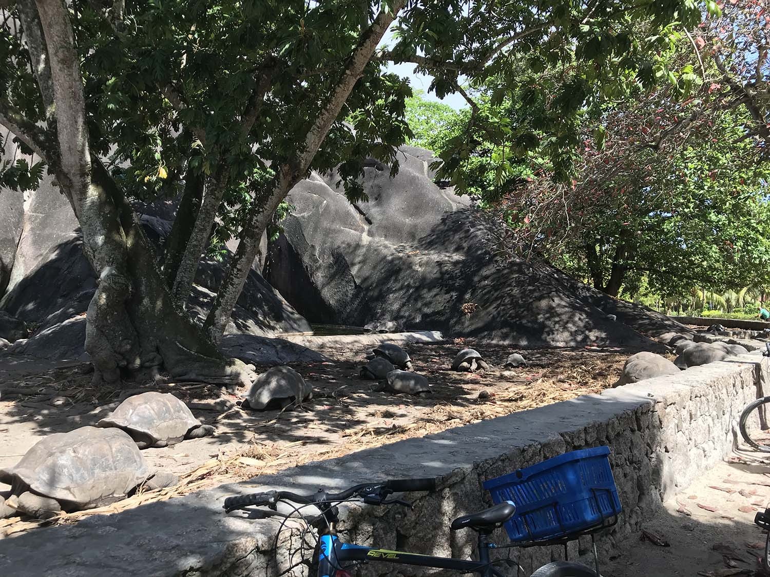 la digue gezilecek yerler