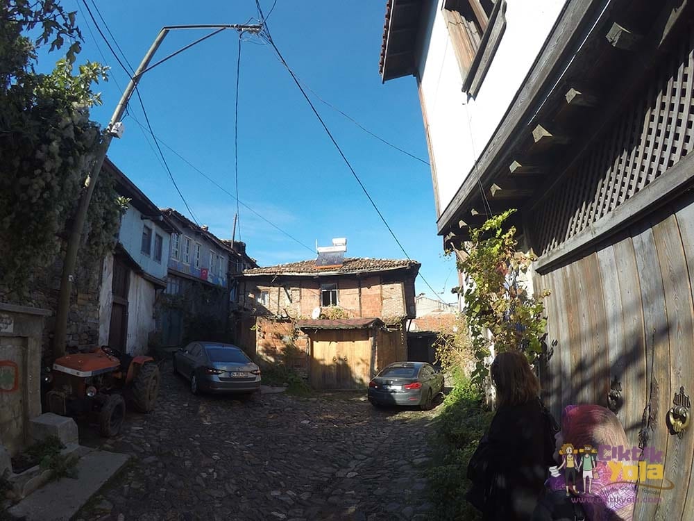 Bursa Cumalıkızık Köyü
