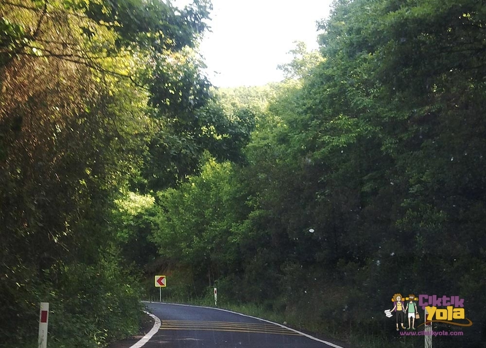 Çilingoz Yolu