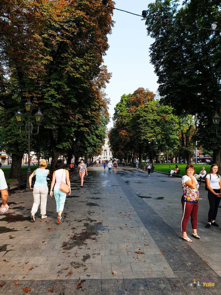 Lviv Park