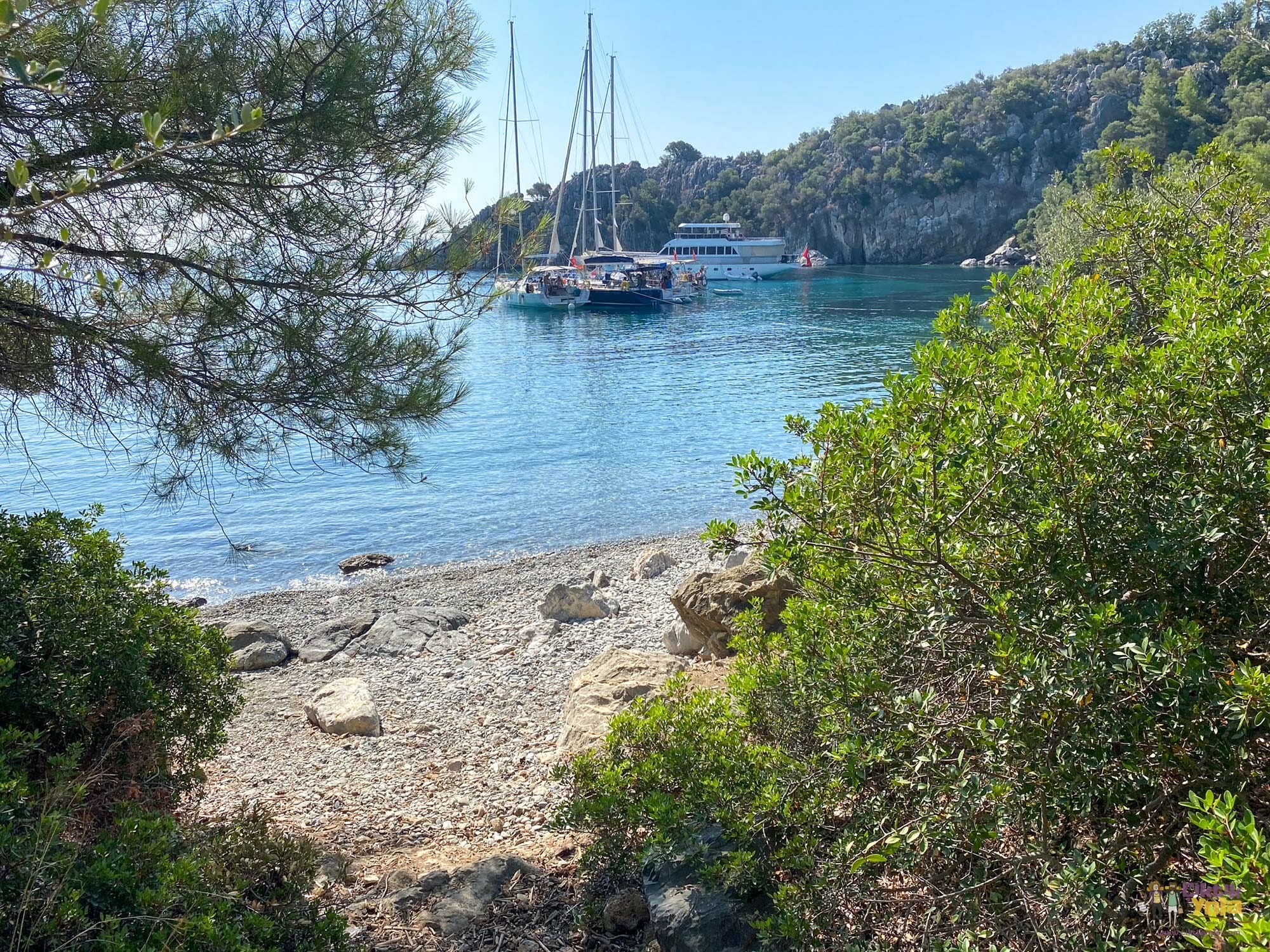 Akvaryum Koyu