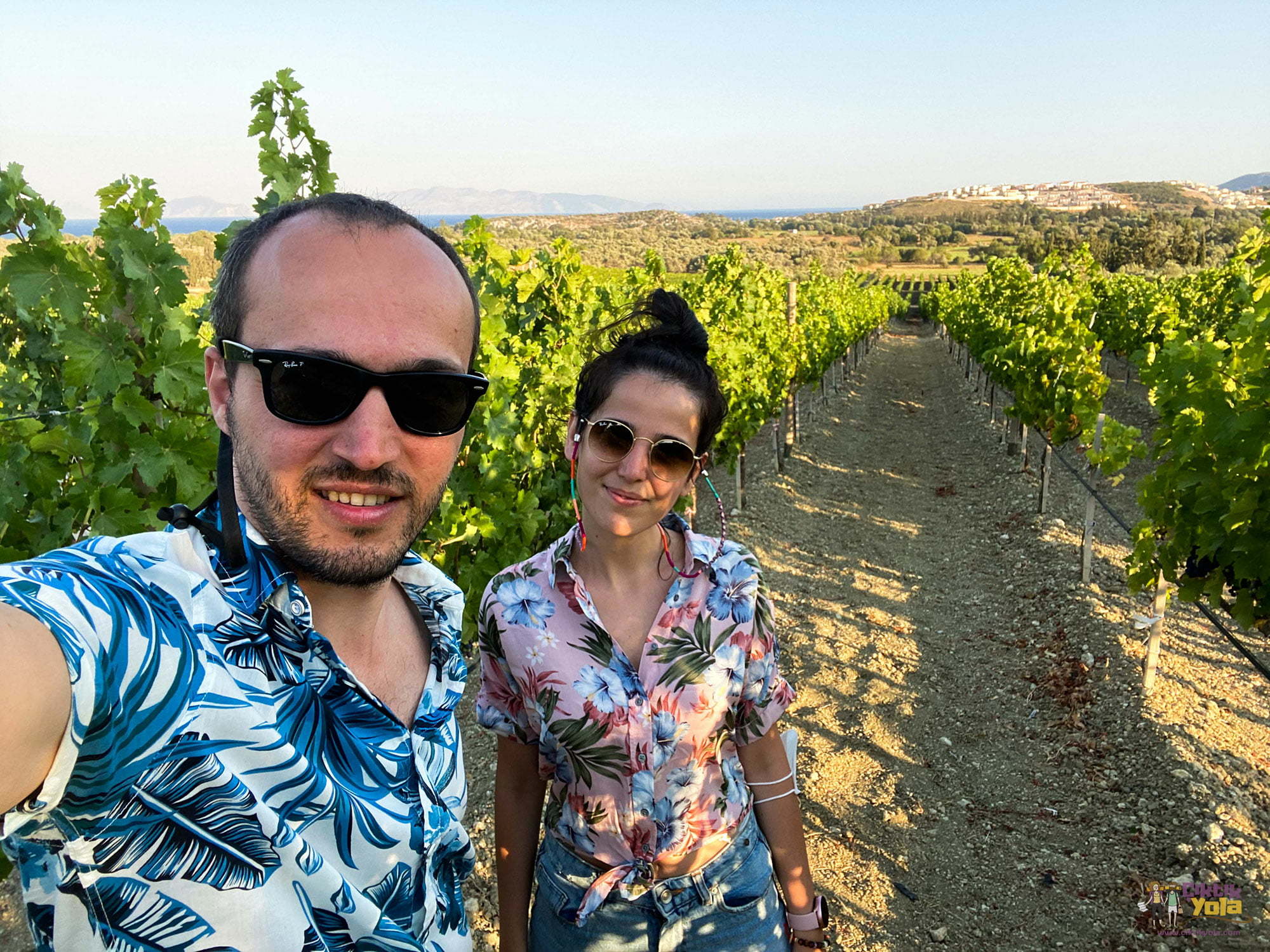 Datça Vineyard
