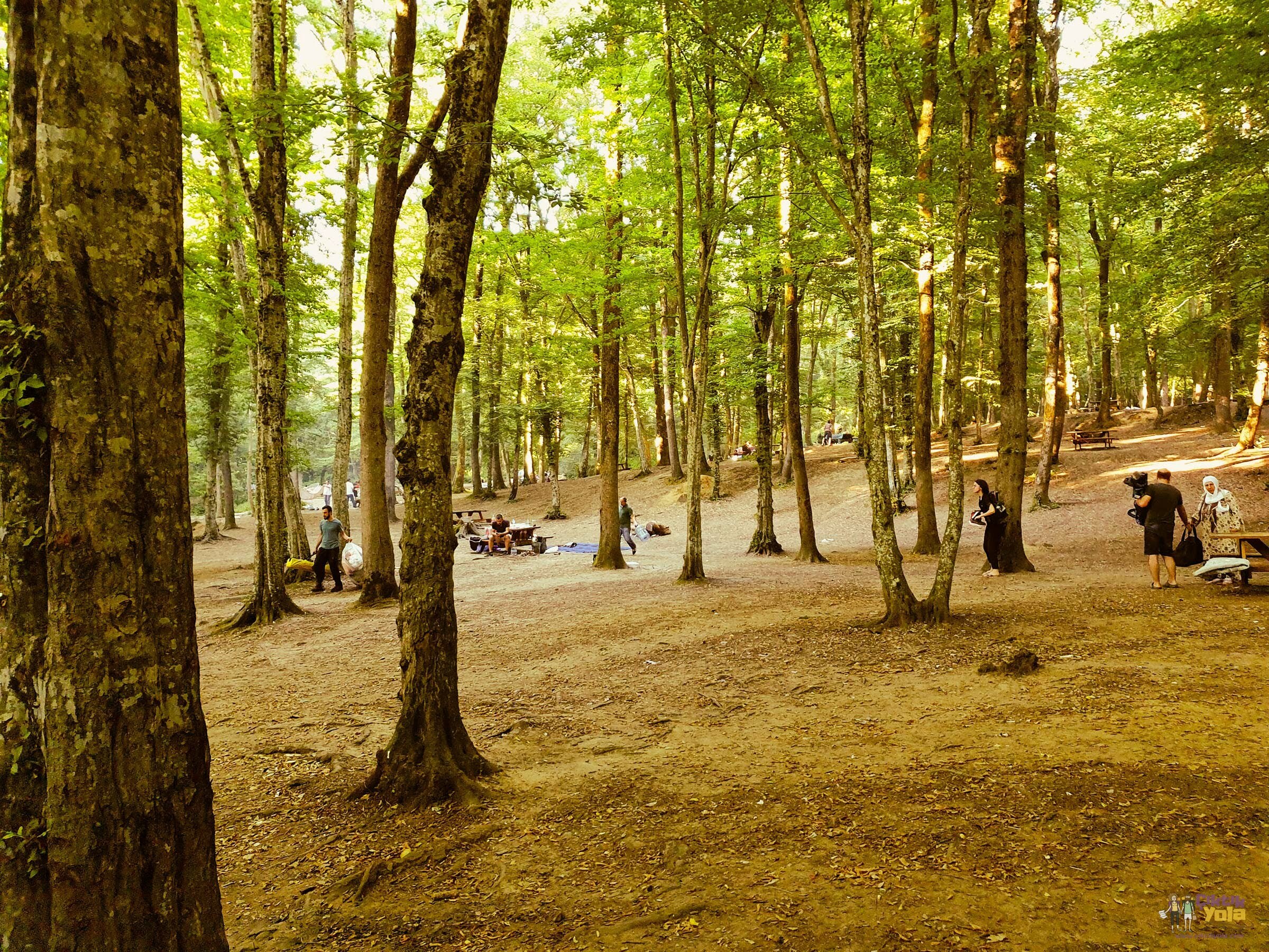 Belgrad Ormanı Piknik Alanları