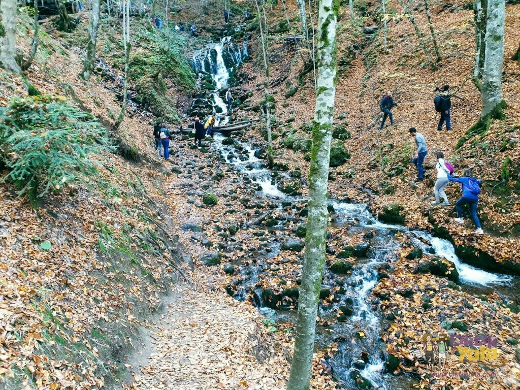 Yedigöller Şelalesi