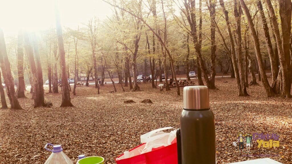 Belgrad Ormanı Kahvaltı