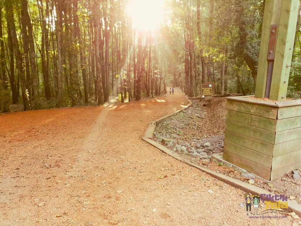 Belgrad Ormanı Yürüyüş Parkuru