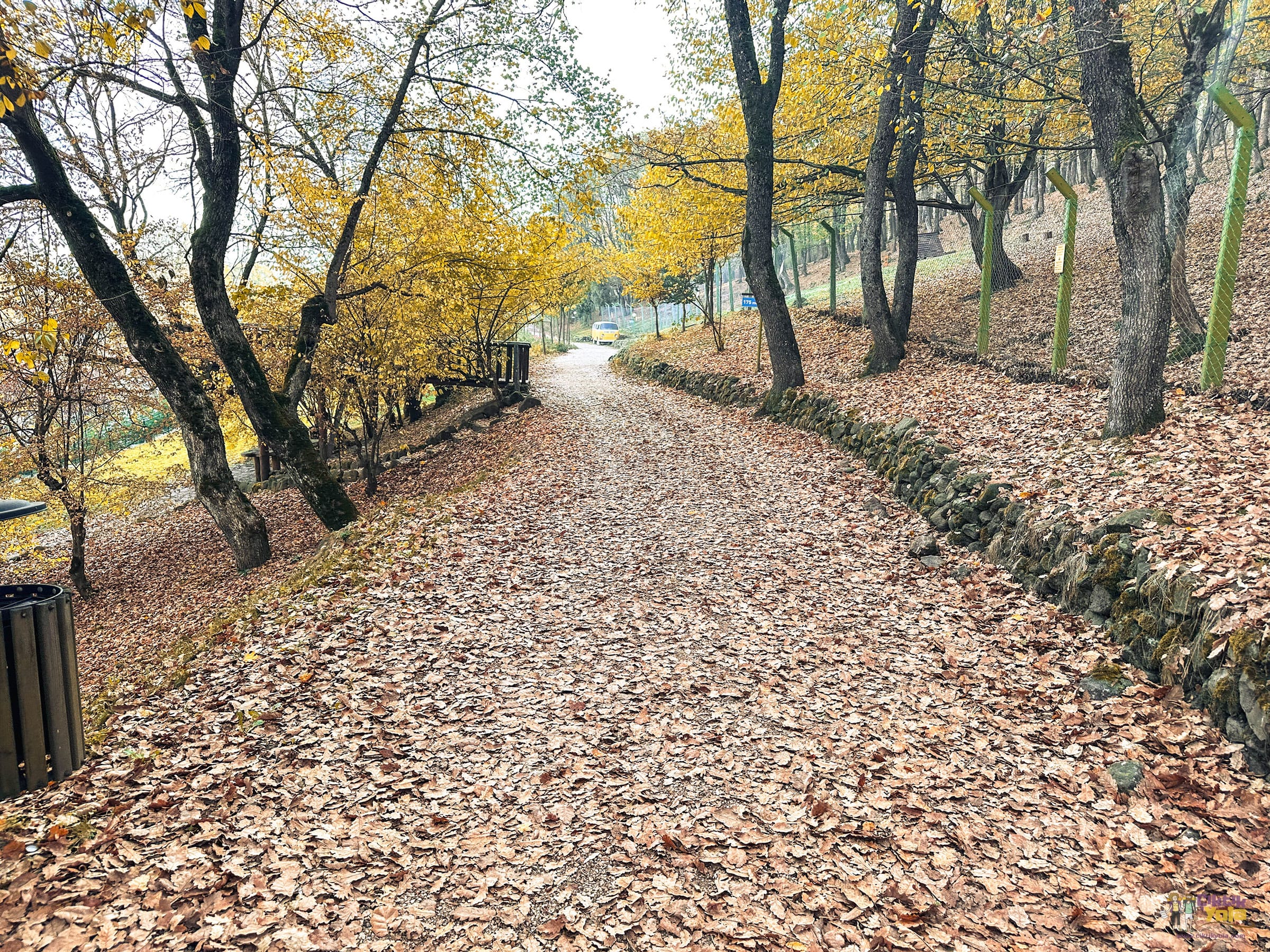 Gazelle Resort Doğası